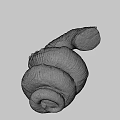 Unique Ancient Spiral Seashell Fossil With Detailed Texture On Dark Background
