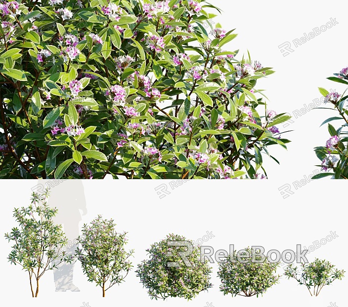 Modern Shrubs Phnom Penh Dipper Shrub Trees Green Plant Combination Outdoor Municipal Park Greening Shrub Green Plant model