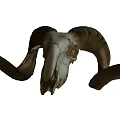 Modern Skull Sheep Skull 3d model