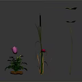 Colorful Flowers And Green Potted Plants With Long Stems On White Background