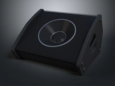 Professional Black Speaker With Mesh Grille Round Woofer And Side Handle 3d model