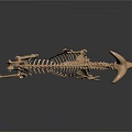 Modern Skeleton Sheep Skeleton Animal Skeleton 3d model