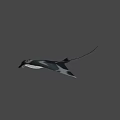 Black And White Manta Ray Game Movie Character With Sleek Body And Distinctive Patterns