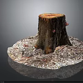 Natural Wooden Stump Display With Stone Base And Textured Ground Covering