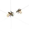 Two Striped Green Brown Beetles With Transparent Wings On White Background