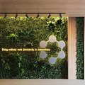 Green Plant Interior Living Wall with Cloud Shaped Decorations Golden Text and Spotlights