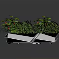 Various Green Plants In White Rectangular Planter With Ferns And Leaves