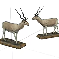 Two Reptile Specimens Placed On Wooden Bases For Decorative 3d model