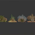 Various Types of Dried Plants with Leaves Branches and Natural Forms