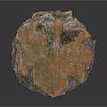 Arbor Trunk With Twisted Texture And Rough Brown Green Surface