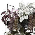 Stylish Floral Display With Multi Layered Shelf And Varied Hanging Foliage Plants