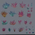 Vibrant Aquatic Animal Coral Reefs Displaying Various Colors and Diverse Underwater Shapes