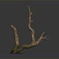 Natural Twisted Branch Sculpture With Textured Surface And Organic Shape