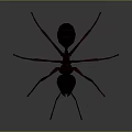 Realistic Red Ant 3D Model Rendering on Black Background with Detailed Legs
