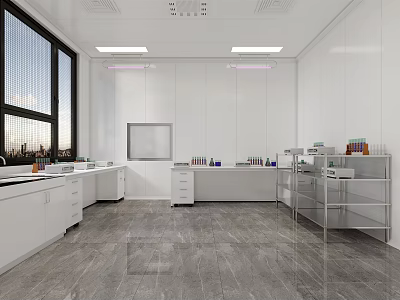 Modern Laboratory Interior With White Walls Lab Benches Equipment And Large Windows 3d model