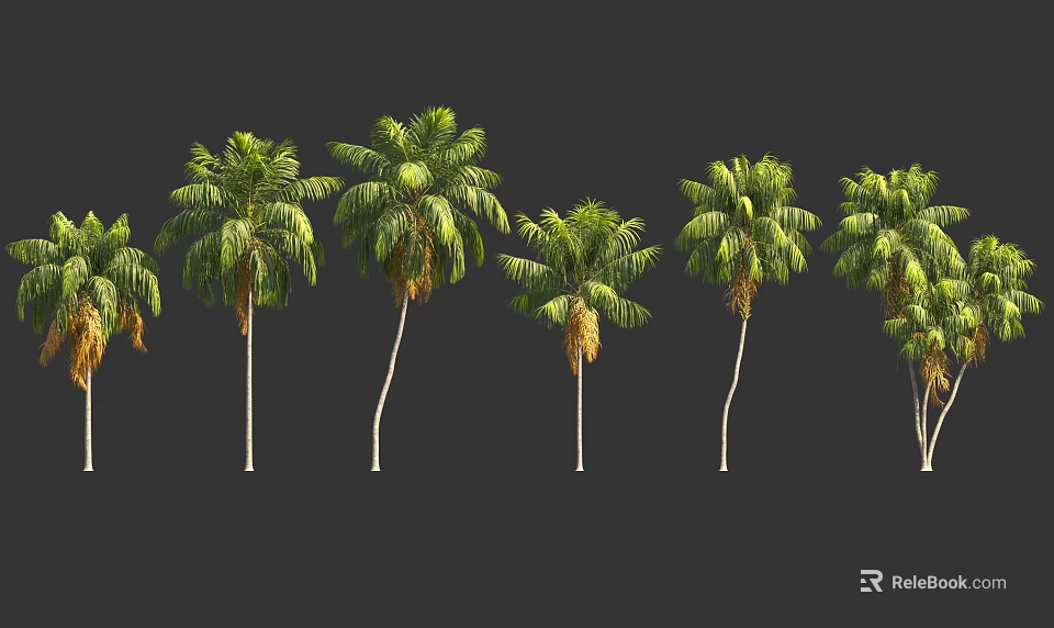 Tall Palm Trees With Green Foliage And Curved Trunks In Row Arrangement 3d model 
