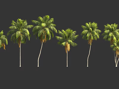 Tall Palm Trees With Green Foliage And Curved Trunks In Row Arrangement 3d model
