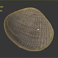 Beautiful Clam Shell With Intricate Purple Texture And Rounded Shape On Dark Background
