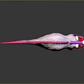 Vibrant Pink And Purple Fish With Unique Fins Large Eyes And Prominent Teeth