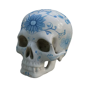Skeleton 3d model