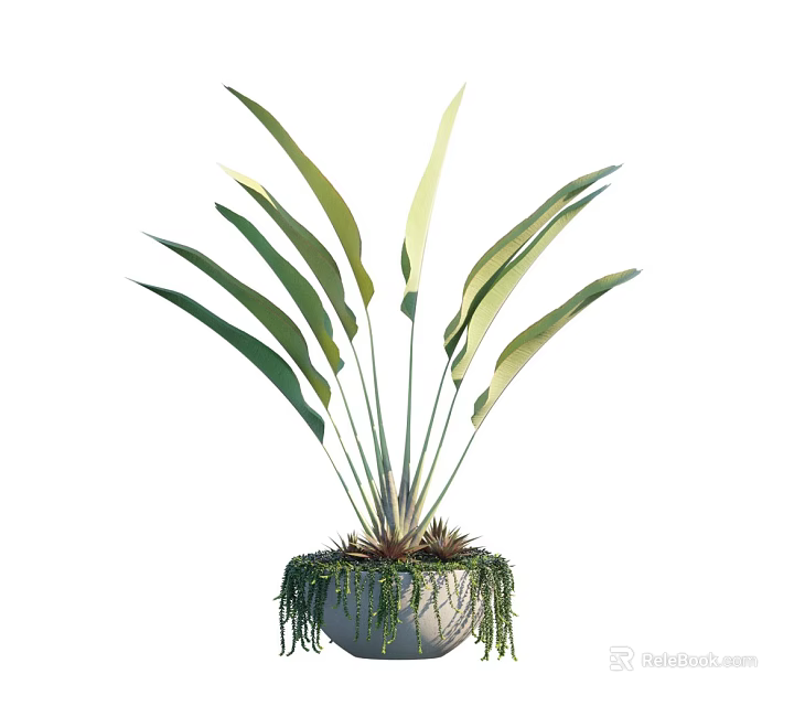 Potted Bonsai Plant with Long Green Leaves and Hanging Foliage in White Pot 3d model 