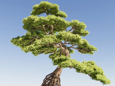 Green Foliage Arbor With Twisted Trunk And Exposed Roots Against Blue Sky 3d model