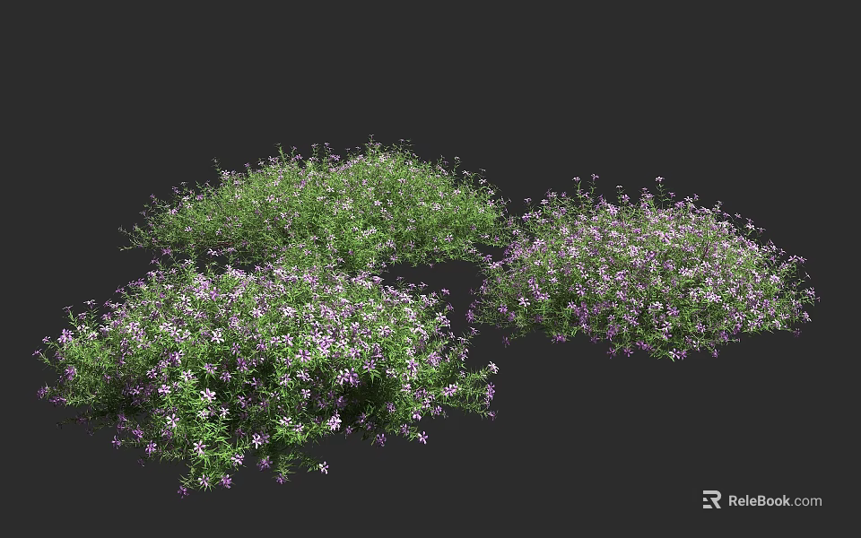 Lush Green Ground Cover With Purple Flowers For Garden Landscape Design 3d model 
