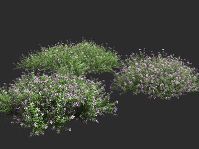Lush Green Ground Cover With Purple Flowers For Garden Landscape Design 3d model