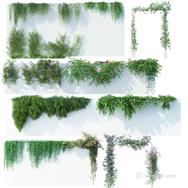 Various Green Flowering Vines Plants With Lush Leaves For Wall Decor Design 3d model 