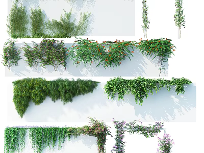 Various Green Flowering Vines Plants With Lush Leaves For Wall Decor Design 3d model