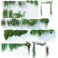 Various Green Flowering Vines Plants With Lush Leaves For Wall Decor Design