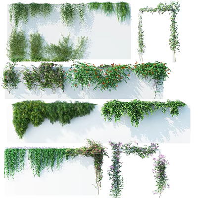 Various Green Flowering Vines Plants With Lush Leaves For Wall Decor Design 3d model