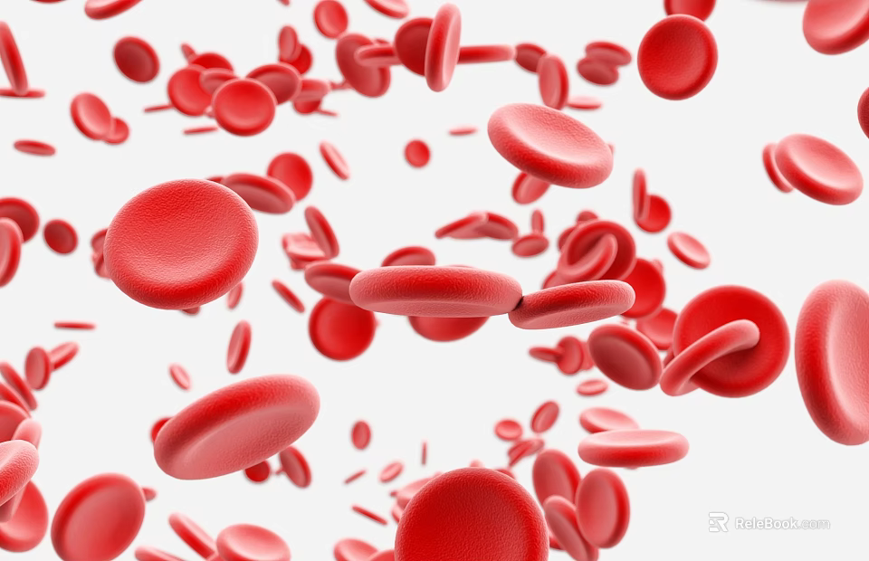 Medical Device for Red Blood Cell Analysis and Microscopic Examination 3d model 