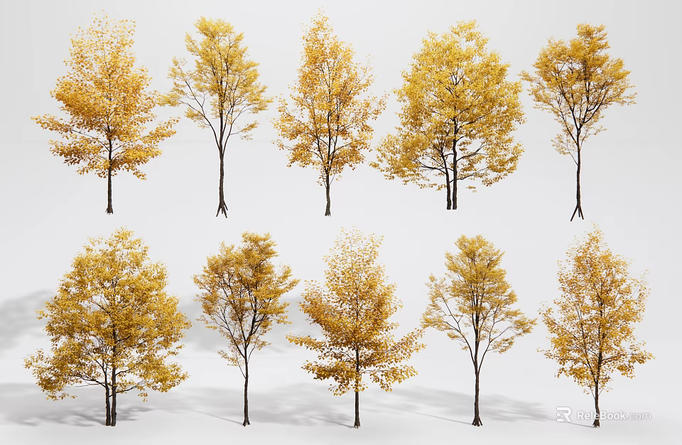 Yellow Foliage Arbor Trees In Various Shapes And Sizes For Landscaping 3d model 
