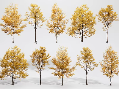 Yellow Foliage Arbor Trees In Various Shapes And Sizes For Landscaping 3d model