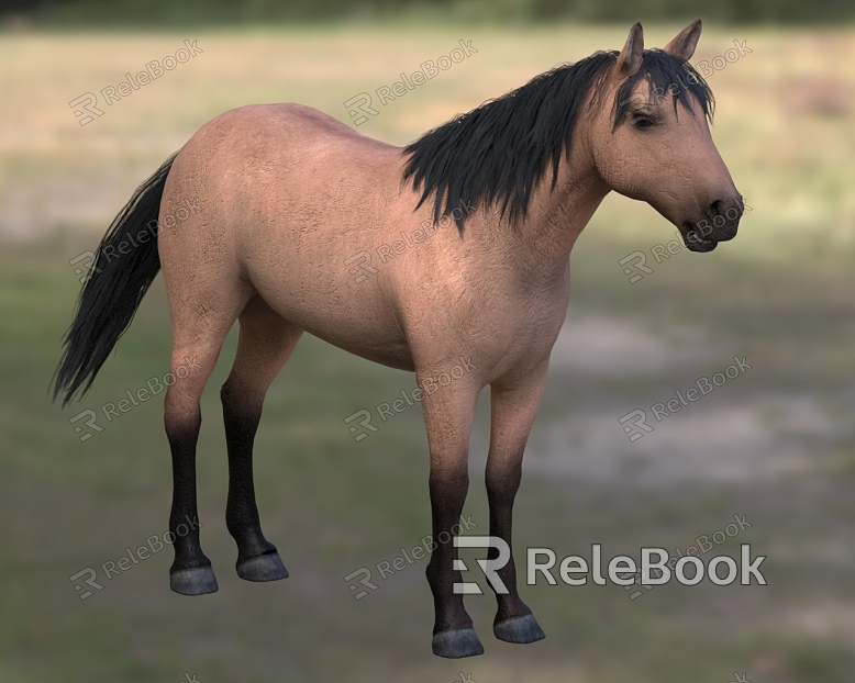 house horse wild horse animal model