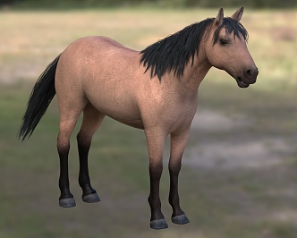 house horse wild horse animal 3d model