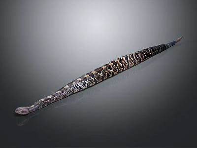 Long Stretched Snake With Brown Black And White Spotted Pattern On Gray Background 3d model