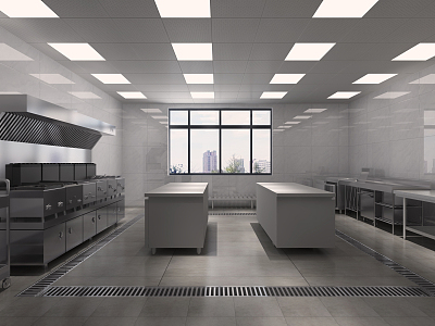 Modern Kitchen Commercial Kitchen 3d model