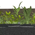 Lush Green Plants And Flowers With Tropical Foliage Against Dark Wall And Gravel Ground