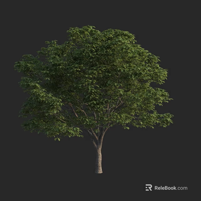 Lush Green Arbor Featuring Dense Foliage And Sturdy Trunk In Isolated Scene 3d model 