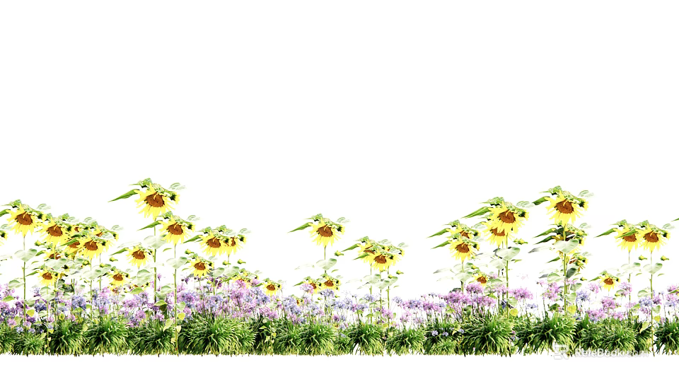 Bright Sunlit Sunflowers And Purple Flowers In Green Grass Field 3d model 