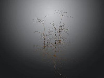 Detailed Neural Cells 3D Model With Branch Structures And Gray Background 3d model