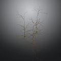 Detailed Neural Cells 3D Model With Branch Structures And Gray Background