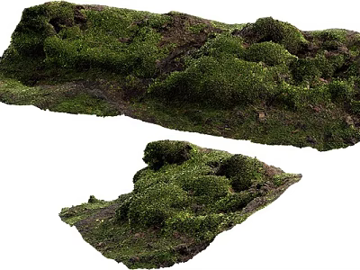Natural Stone And Wood Decor Pieces Covered With Green Moss Texture 3d model