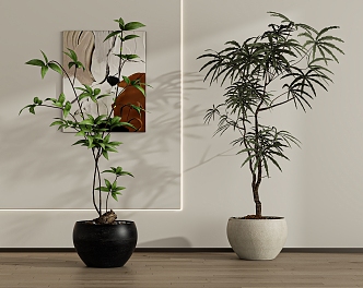 Green plant potted combination 3d model