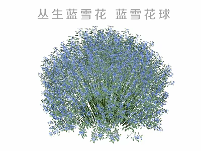 Clumping Blue Snowflake Balls With Lush Vibrant Blue Flowers In Garden 3d model