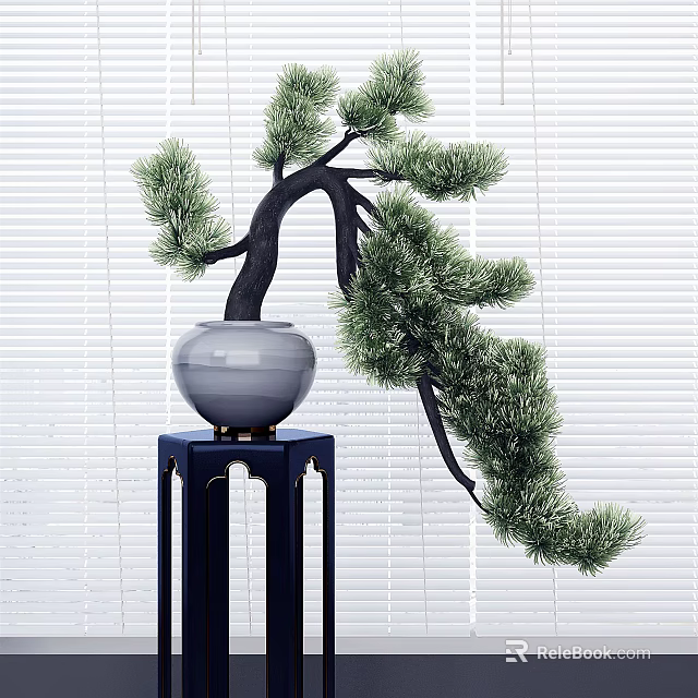 Bonsai Pine Tree in Gray Pot on Dark Blue Stand with Blinds Background 3d model 