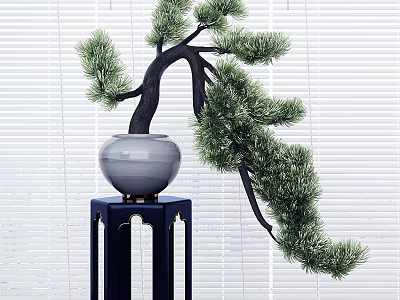 Bonsai Pine Tree in Gray Pot on Dark Blue Stand with Blinds Background 3d model