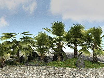 Lush Green Palm Trees And Grass With Rocks Under Blue Sky Creating Natural Garden Scene 3d model